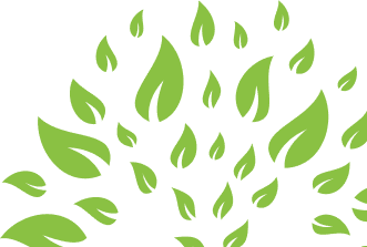 Bonsai Home About Us Background